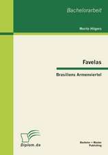 Favelas: Brasiliens Armenviertel