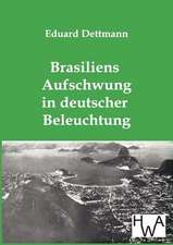 Brasiliens Aufschwung in deutscher Beleuchtung