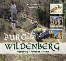 Burg Wildenberg