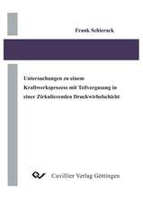 Untersuchungen zu einem Kraftwerksprozess mit Teilvergasung in einer Zirkulierenden Druckwirbelschicht