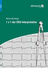 1x1 der EKG-Interpretation