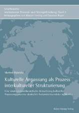 Kulturelle Anpassung als Prozess interkultureller Strukturierung