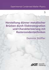 Herstellung dünner metallischer Brücken durch Elektromigration und Charakterisierung mit Rastersondentechniken