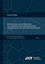 Entwicklung und Optimierung von gradierten Wolfram/EUROFER97-Verbindungen für Divertorkomponenten