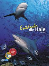 Entdecke die Haie