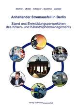 Anhaltender Stromausfall in Berlin. Stand und Entwicklungsperspektiven des Krisen- und Katastrophenmanagements