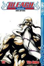 Bleach 45