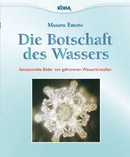 Die Botschaft des Wassers