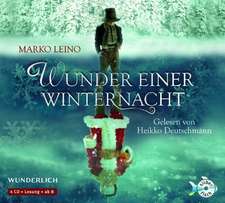 Wunder einer Winternacht