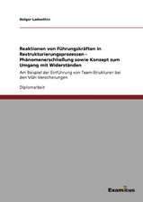 Reaktionen von Führungskräften in Restrukturierungsprozessen - Phänomenerschließung sowie Konzept zum Umgang mit Widerständen