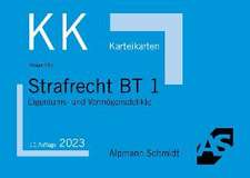 Karteikarten Strafrecht BT 1