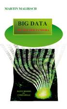 Big Data