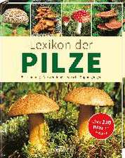 Kothe, D: Lexikon der Pilze