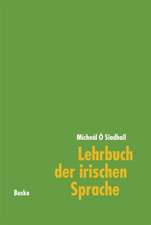 Lehrbuch der irischen Sprache. Mit Übungen und Lösungen