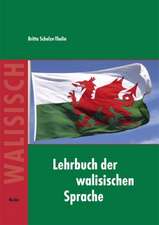 Lehrbuch der walisischen Sprache