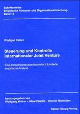 Steuerung und Kontrolle Internationaler Joint Venture