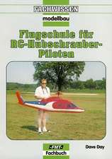 Flugschule für RC-Hubschrauber-Piloten