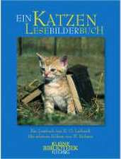 Ein Katzen Lesebilderbuch