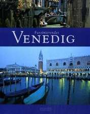 Faszinierendes Venedig