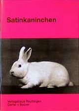 Satinkaninchen