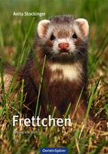 Frettchen