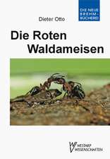 Die Roten Waldameisen