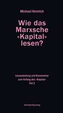 Wie das Marxsche Kapital lesen? Bd. 2