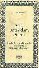 Stille unter dem Sturm