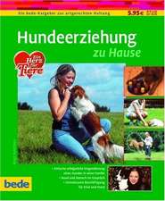 Hundeerziehung zu Hause