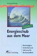 Energieschub aus dem Meer