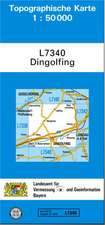 Dingolfing 1 : 50 000