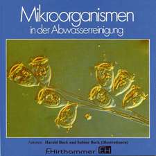 Mikroorganismen in der Abwasserreinigung