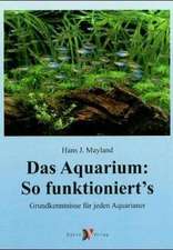 Das Aquarium: so funktionierts