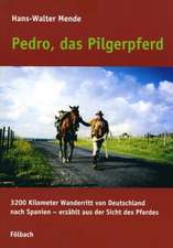 Pedro, das Pilgerpferd