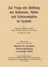 Zur Frage der Stellung der Bakterien, Hefen und Schimmelpilze im System