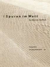 Spuren im Watt