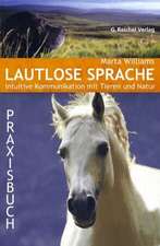 Lautlose Sprache