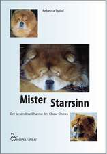 Mister Starrsinn