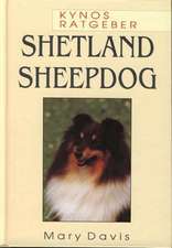 Shetland Sheepdog