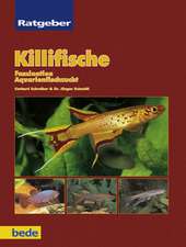 Ratgeber Killifische