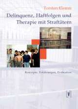 Delinquenz, Haftfolgen und Therapie mit Strafftätern