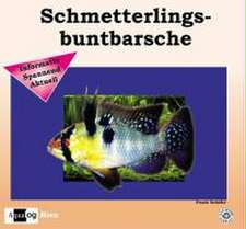 Schäfer, F: Schmetterlingsbuntbarsche