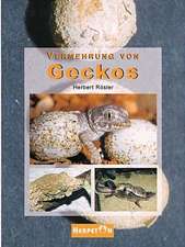 Vermehrung von Geckos