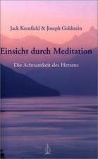 Einsicht durch Meditation