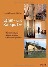 Lehm- und Kalkputze