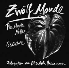 Zwölf Monde