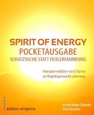 Spirit of Energy. Pocketausgabe für die Schatzsuche statt Fehlerfahndung