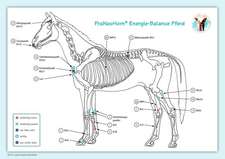 Akupunktur-Tafel Pferd