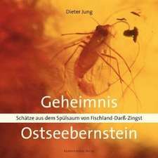 Geheimnis Ostseebernstein