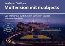 Crashkurs Multivision mit m.objects